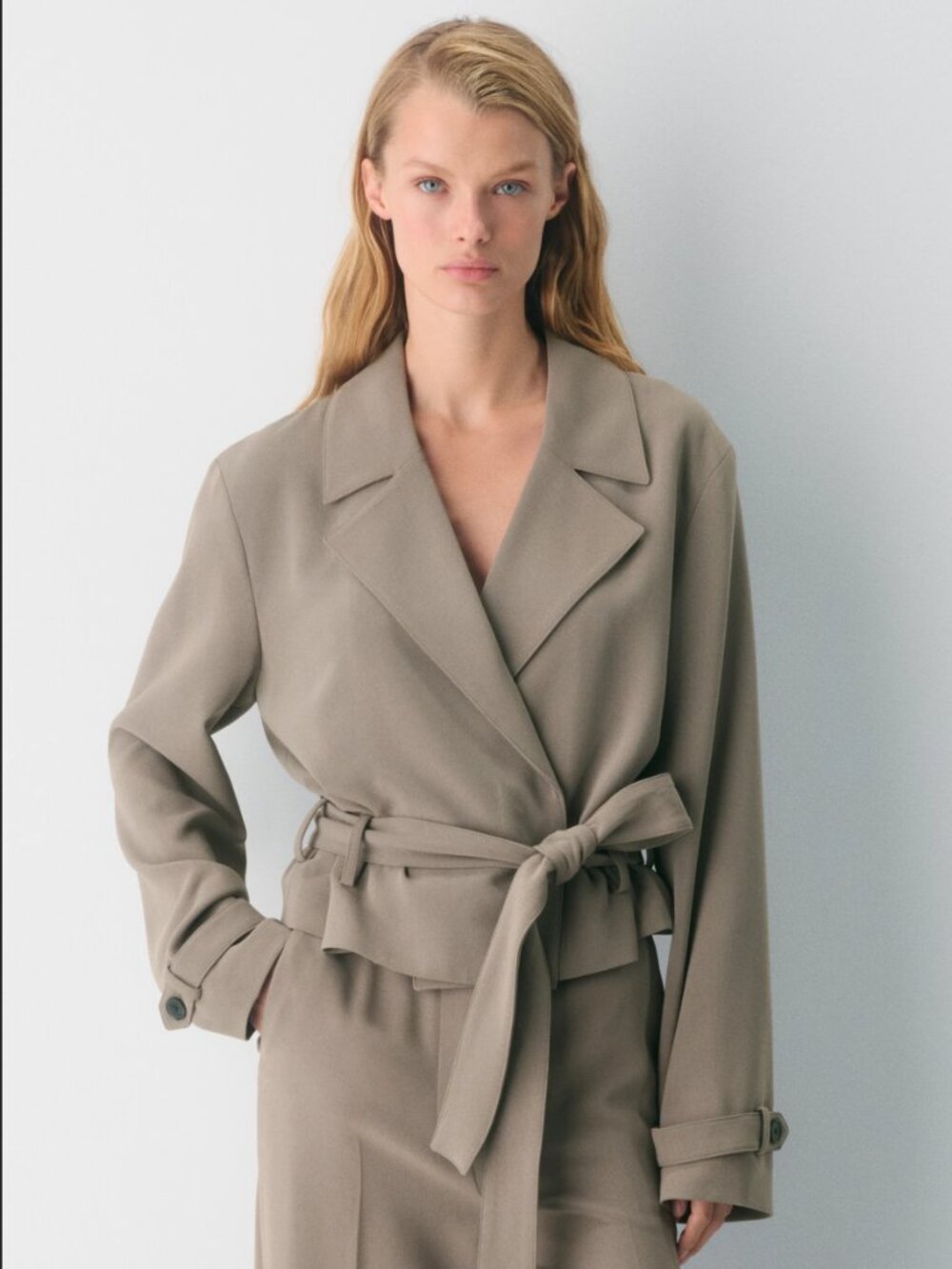 NWT Aritzia Babaton Postage Trench Coat -Taupe-  size S
